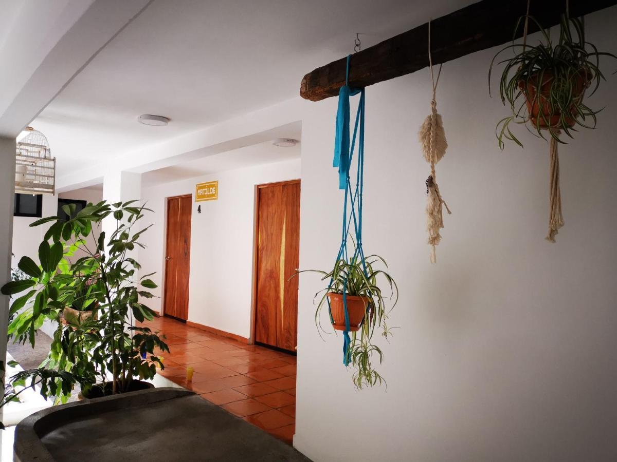 Santa Josefita B&B Чолула Екстериор снимка